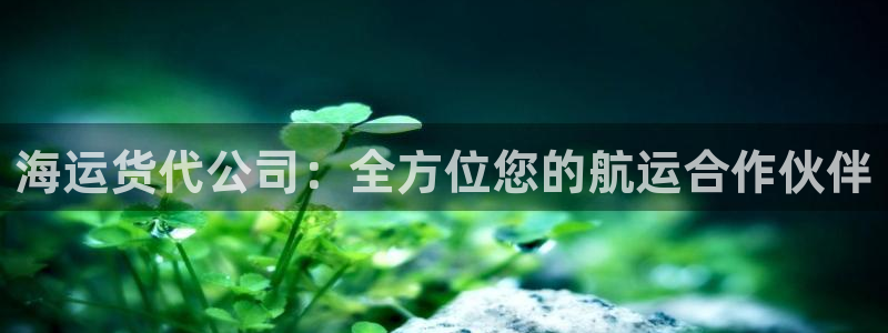 在公海赌博犯法吗