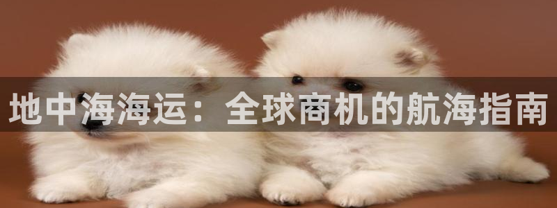 公海赌博是什么意思