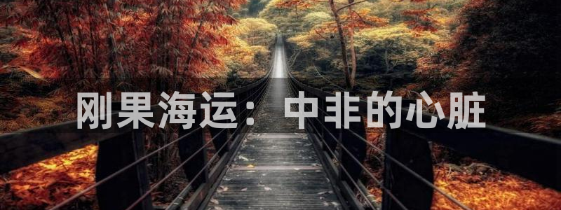 去公海赌博