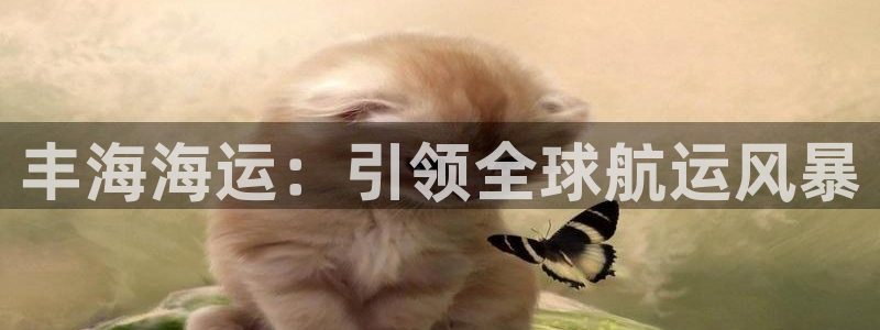 公海赌赌船官网可以做代理吗