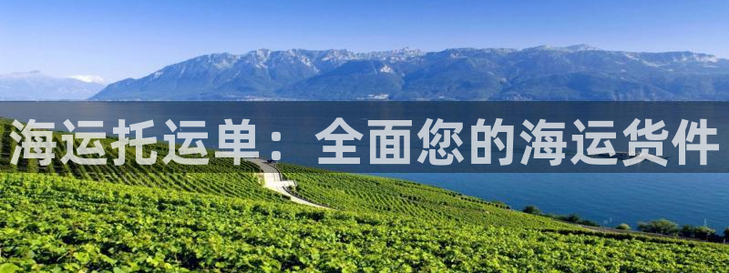 公海赌博为什么不犯法