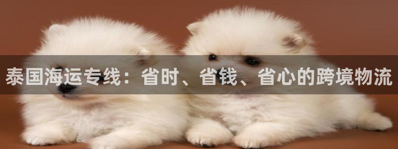 公海赌钱犯法吗