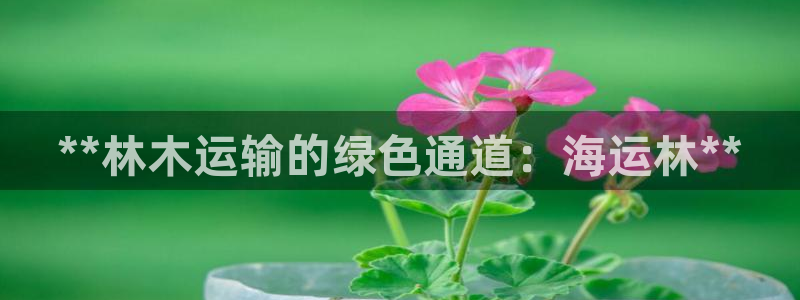 欢迎来到公海