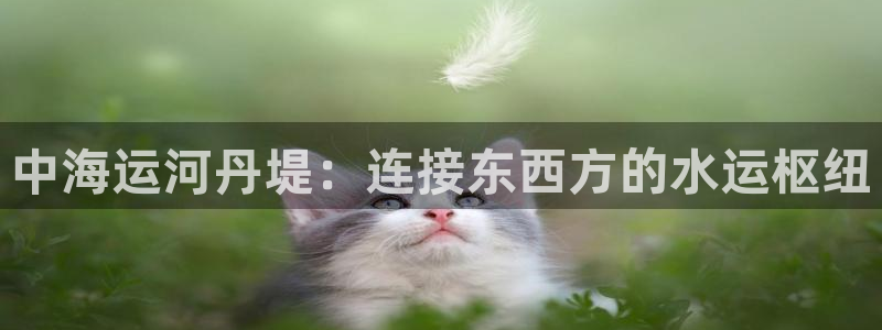 欢迎你来到公海欢迎你来到赌船701