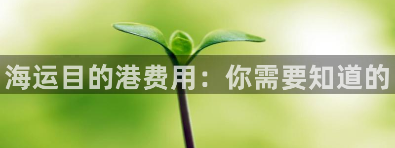 公海赌船吧