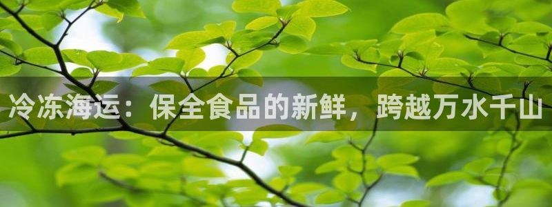 欢迎来到公海555000