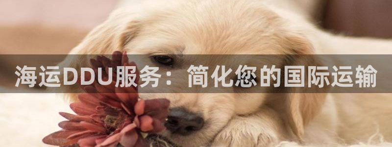 公海赌钱公安会抓吗