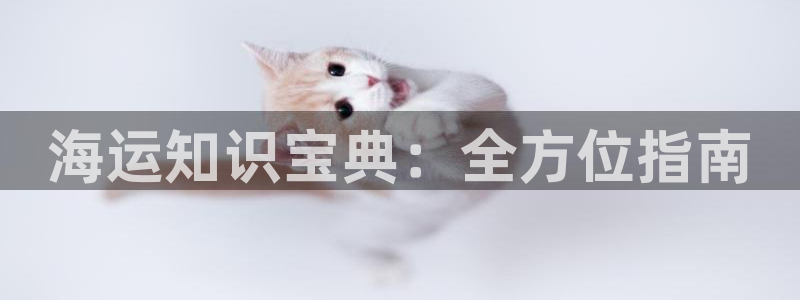 公海赌钱犯法吗
