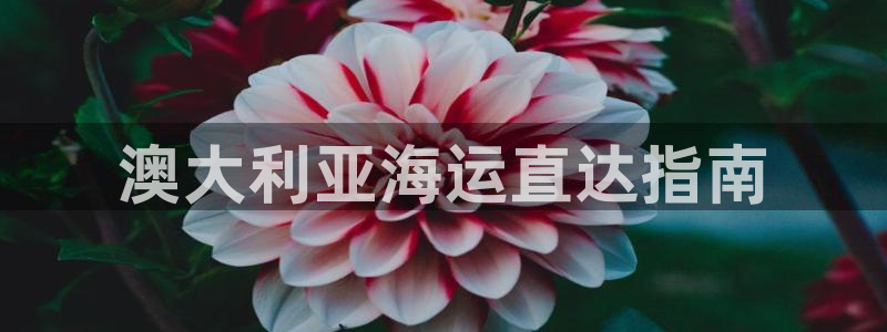 公海赌赌船维护多久