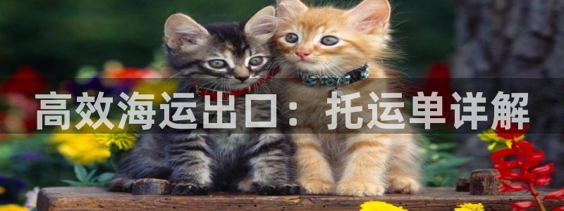 公海赌赌船贵宾会员检测路线