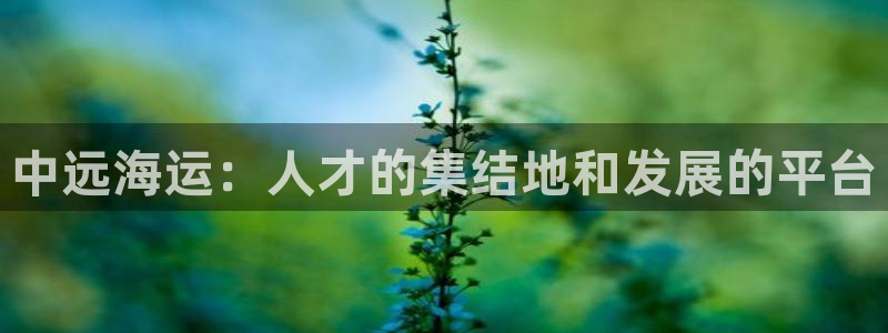 公海赌钱