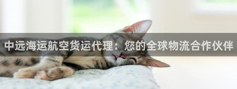 欢迎公海来到赌船710