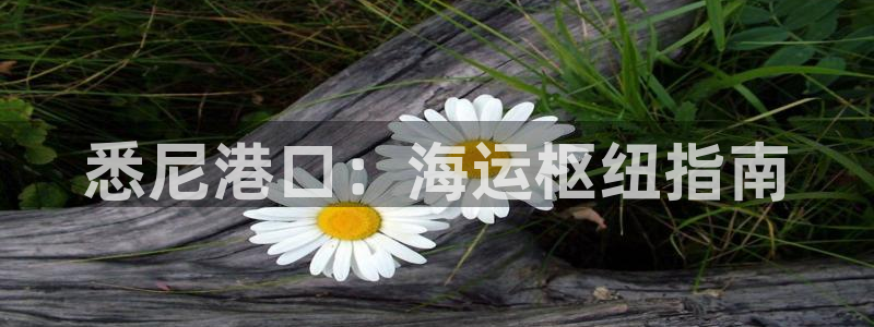 公海赌赌船官网真的吗