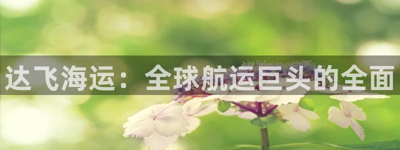 公海 赌船710手机版下载