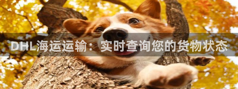 欢迎您来到公海
