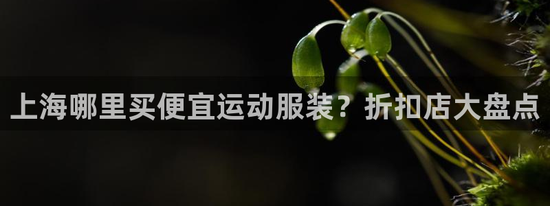 公海赌钱