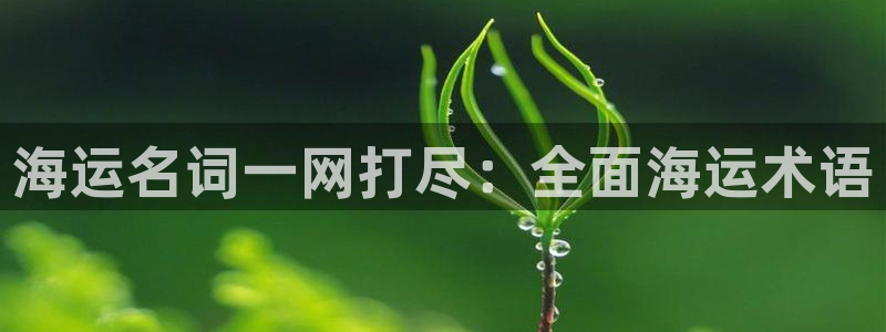 公海赌赌船贵宾会员检测路线