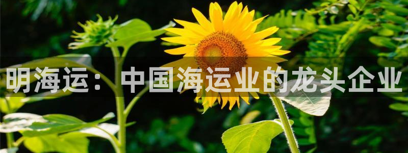 欢迎您来到公海