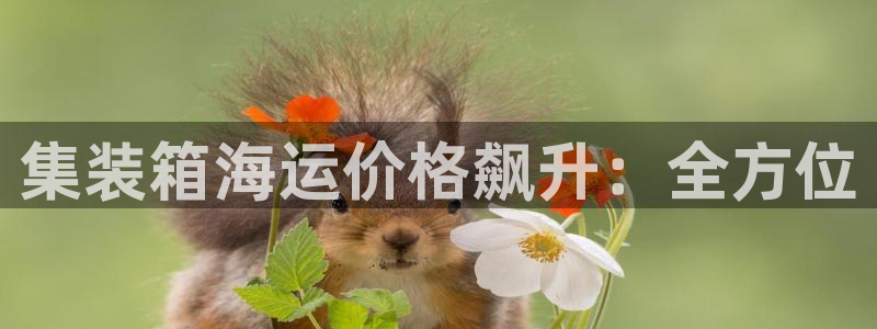 去公海赌博合法吗