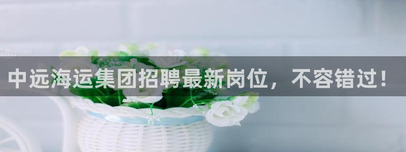 欢迎来到公海710线路是多少