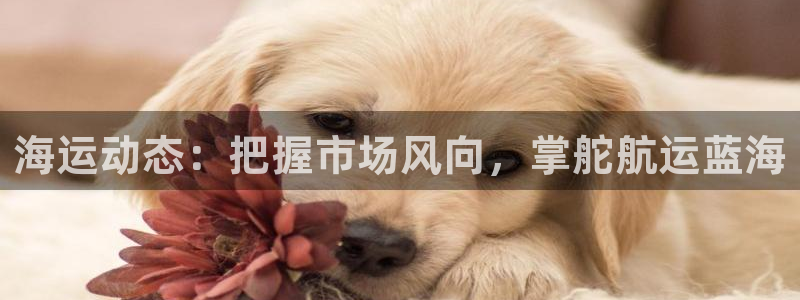 公海赌赌船jcjc710