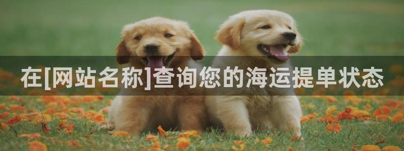 公海船赌网站是多少