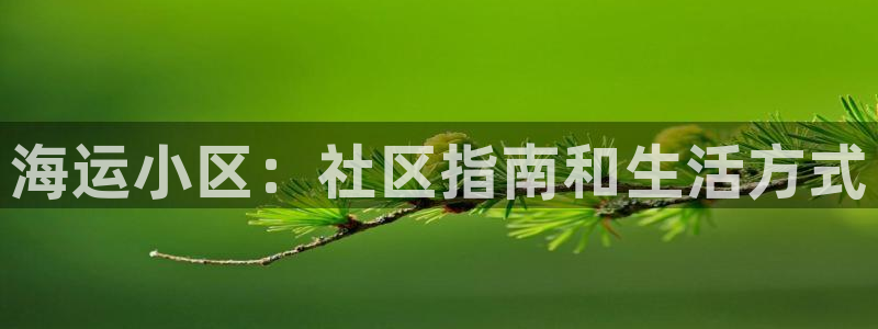 欢迎你来到公主的海岛