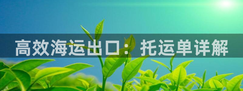 欢迎公海来到赌船710