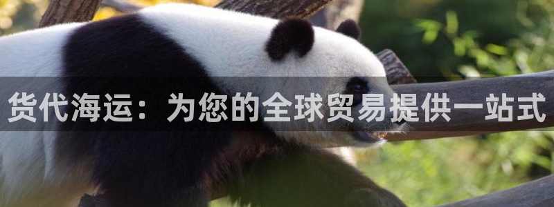 公海赌船赌博
