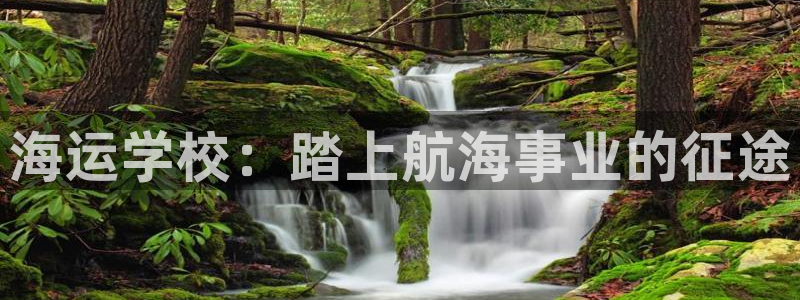 公海赌博怎么处理