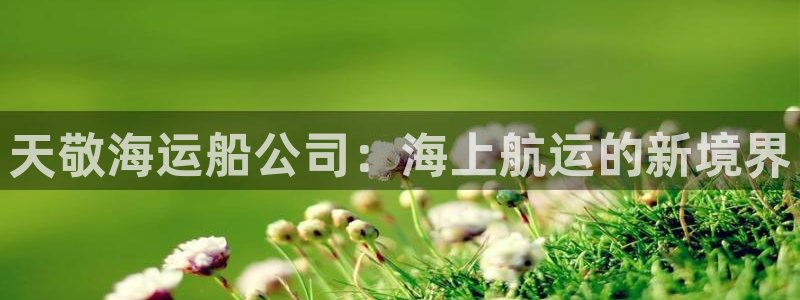公海赌赌船快速充值