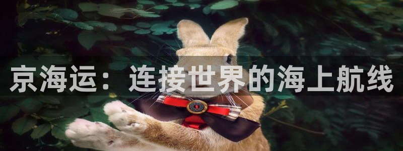 公海 赌船710手机版下载