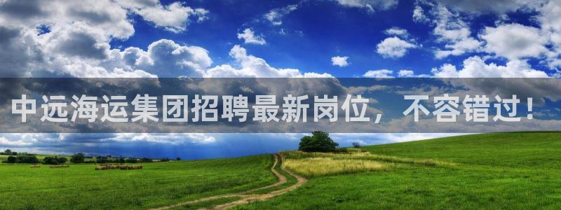 欢迎来到公海电脑版