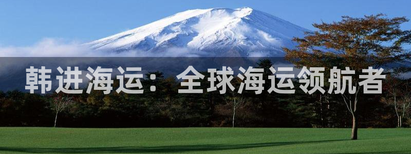 欢迎你来到 公主的海岛